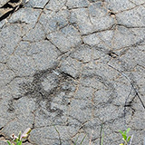 Hawaje; Puuloa Petroglyphs (Big Island, Hawaii Volcanoes National Park, Kahaualeʻa Natural Area Reserve)