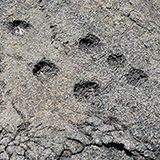Hawaje; Puuloa Petroglyphs (Big Island, Hawaii Volcanoes National Park, Kahaualeʻa Natural Area Reserve)