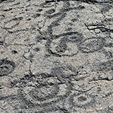 Hawaje; Puuloa Petroglyphs (Big Island, Hawaii Volcanoes National Park, Kahaualeʻa Natural Area Reserve)