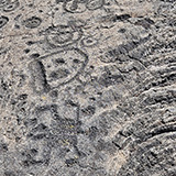 Hawaje; Puuloa Petroglyphs (Big Island, Hawaii Volcanoes National Park, Kahaualeʻa Natural Area Reserve)