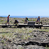 Hawaje; Puuloa Petroglyphs (Big Island, Hawaii Volcanoes National Park, Kahaualeʻa Natural Area Reserve)