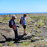 Hawaje; Puuloa Petroglyphs (Big Island, Hawaii Volcanoes National Park, Kahaualeʻa Natural Area Reserve)