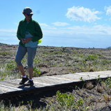 Hawaje; Puuloa Petroglyphs (Big Island, Hawaii Volcanoes National Park, Kahaualeʻa Natural Area Reserve)