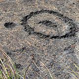 Hawaje; Puuloa Petroglyphs (Big Island, Hawaii Volcanoes National Park, Kahaualeʻa Natural Area Reserve)
