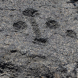 Hawaje; Puuloa Petroglyphs (Big Island, Hawaii Volcanoes National Park, Kahaualeʻa Natural Area Reserve)