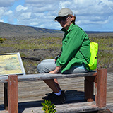 Hawaje; Puuloa Petroglyphs (Big Island, Hawaii Volcanoes National Park, Kahaualeʻa Natural Area Reserve)