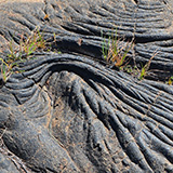 Hawaje; Puuloa Petroglyphs (Big Island, Hawaii Volcanoes National Park, Kahaualeʻa Natural Area Reserve)