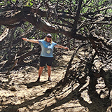 Hawaje; Waikōloa Petroglyph Reserve (Big Island)