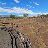 Hawaje; Waikōloa Petroglyph Reserve (Big Island)