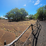 Hawaje; Waikōloa Petroglyph Reserve (Big Island)