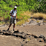 Hawaje; Waikōloa Petroglyph Reserve (Big Island)