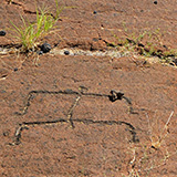 Hawaje; Waikōloa Petroglyph Reserve (Big Island)