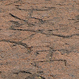 Hawaje; Waikōloa Petroglyph Reserve (Big Island)
