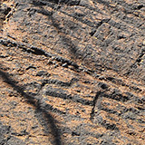 Hawaje; Waikōloa Petroglyph Reserve (Big Island)