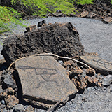 Hawaje; Waikōloa Petroglyph Reserve (Big Island)