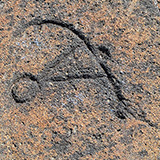 Hawaje; Waikōloa Petroglyph Reserve (Big Island)
